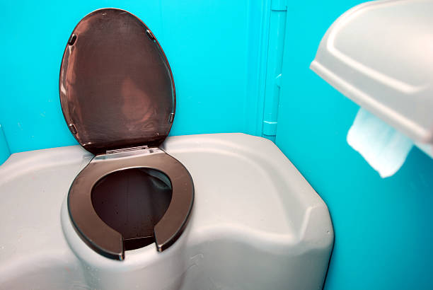 Best Affordable portable toilet rental  in Lanse, MI